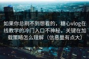 如果你总刷不到想看的，糖心vlog在线教学的冷门入口不神秘，关键在加载策略怎么理解（信息量有点大）