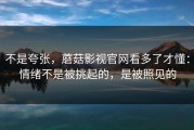 不是夸张，蘑菇影视官网看多了才懂：情绪不是被挑起的，是被照见的