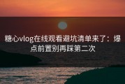 糖心vlog在线观看避坑清单来了：爆点前置别再踩第二次