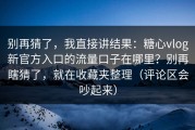 别再猜了，我直接讲结果：糖心vlog新官方入口的流量口子在哪里？别再瞎猜了，就在收藏夹整理（评论区会吵起来）