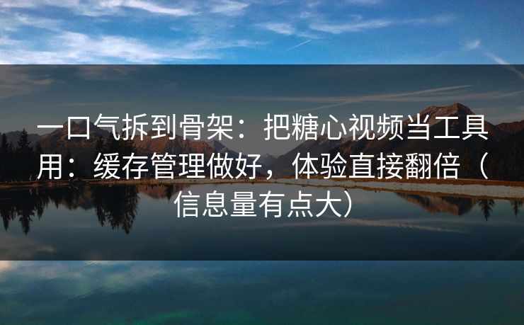 一口气拆到骨架：把糖心视频当工具用：缓存管理做好，体验直接翻倍（信息量有点大）