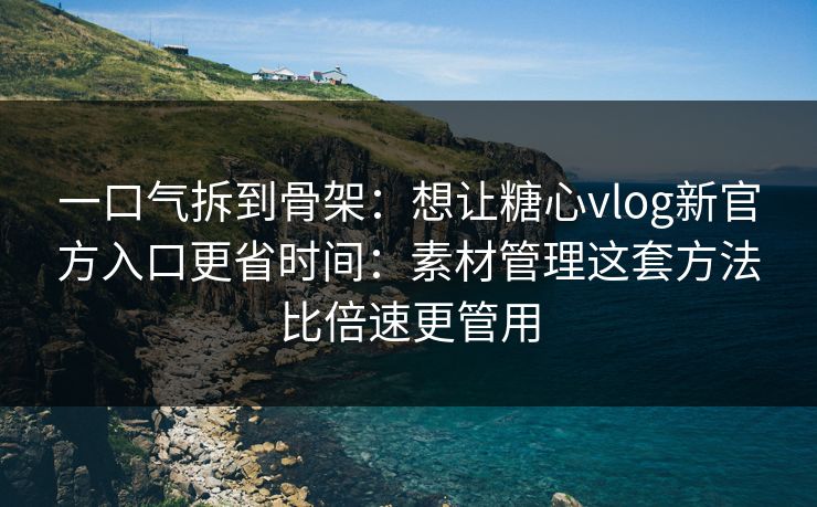 一口气拆到骨架：想让糖心vlog新官方入口更省时间：素材管理这套方法比倍速更管用
