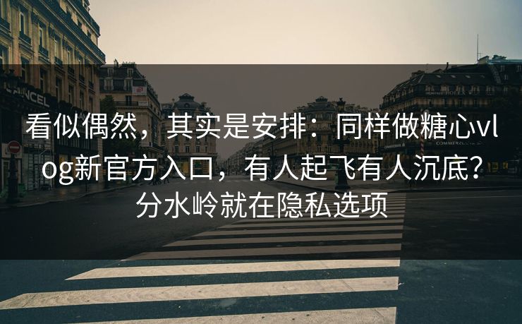看似偶然,其实是安排:同样做糖心vlog新官方入口,有人起飞有人沉底?分水岭就在隐私选项 看似偶然,其实是安排:同样做糖心vlog新官方入口,有人起飞有人沉底?分水岭就在隐私选项
