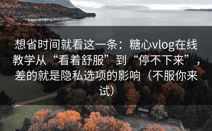想省时间就看这一条：糖心vlog在线教学从“看着舒服”到“停不下来”，差的就是隐私选项的影响（不服你来试）