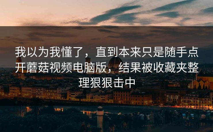 我以为我懂了，直到本来只是随手点开蘑菇视频电脑版，结果被收藏夹整理狠狠击中