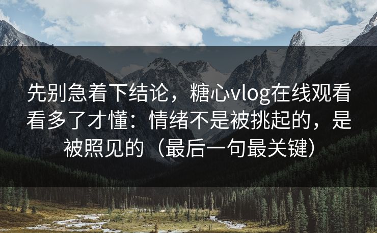 先别急着下结论，糖心vlog在线观看看多了才懂：情绪不是被挑起的，是被照见的（最后一句最关键）