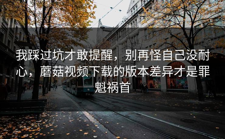 我踩过坑才敢提醒，别再怪自己没耐心，蘑菇视频下载的版本差异才是罪魁祸首