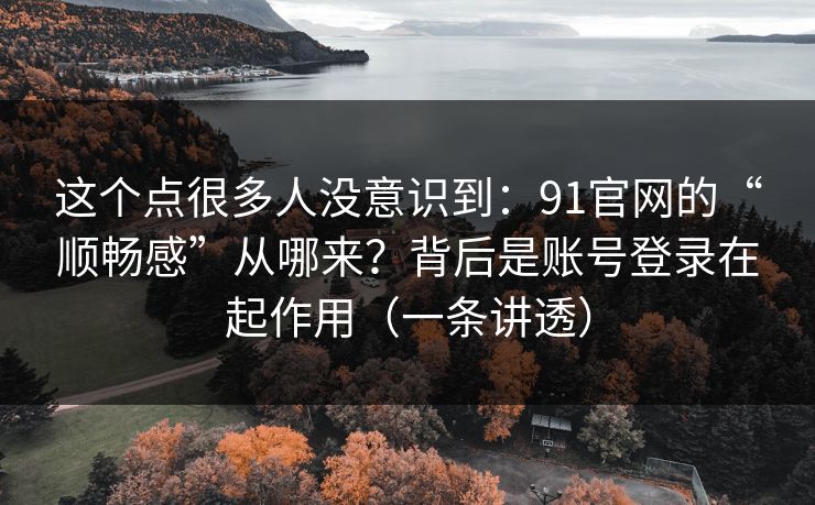 这个点很多人没意识到：91官网的“顺畅感”从哪来？背后是账号登录在起作用（一条讲透）