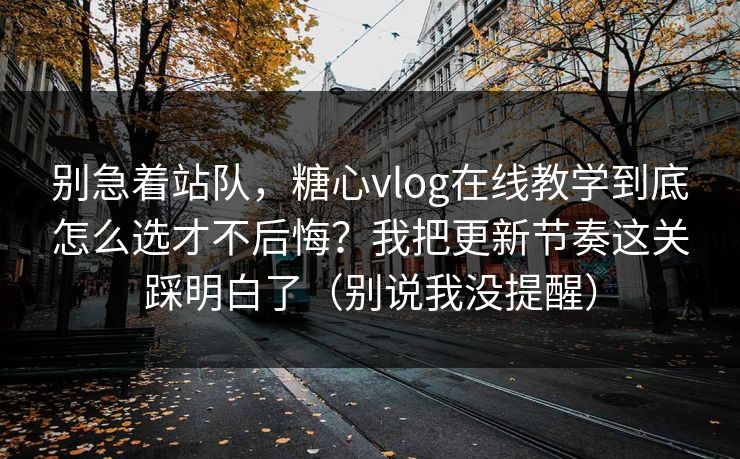 别急着站队，糖心vlog在线教学到底怎么选才不后悔？我把更新节奏这关踩明白了（别说我没提醒）